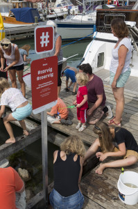 Nye hashtagskilte på Rørvig havn