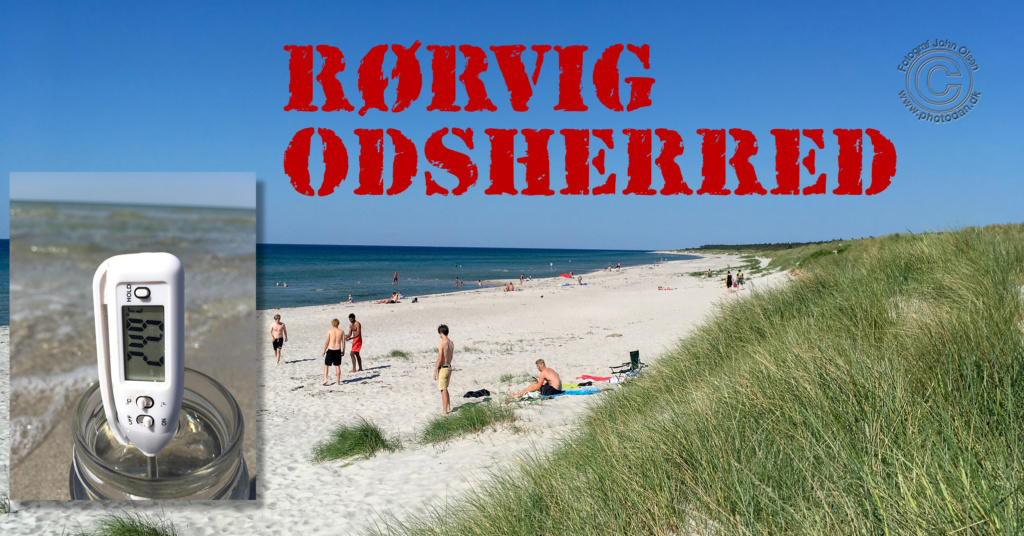 Foto: John Olsen / photodan.dk